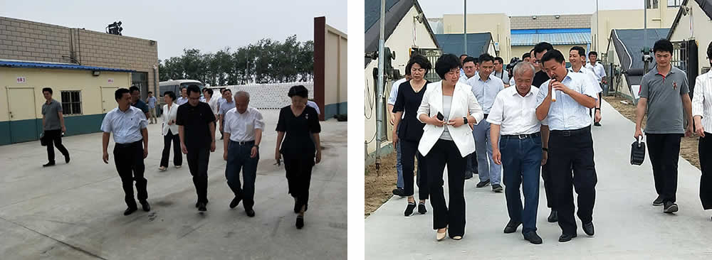 新聞=省委胥秘書長與省農(nóng)業(yè)農(nóng)村廳楊廳長一行及市、縣等領(lǐng)導(dǎo)，來我司視察01.jpg