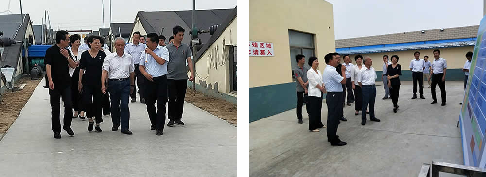 新聞=省委胥秘書長與省農(nóng)業(yè)農(nóng)村廳楊廳長一行及市、縣等領(lǐng)導(dǎo)，來我司視察02.jpg