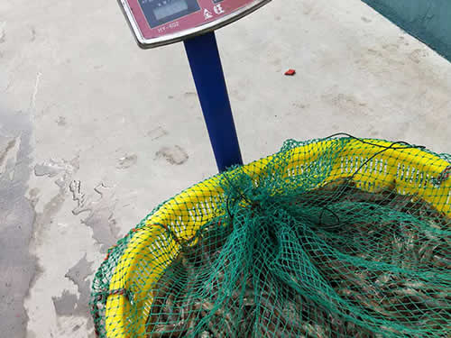 捕蝦現(xiàn)場(chǎng)06
