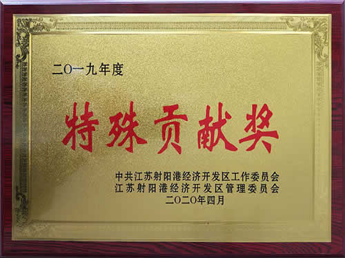 2019年度特殊貢獻獎