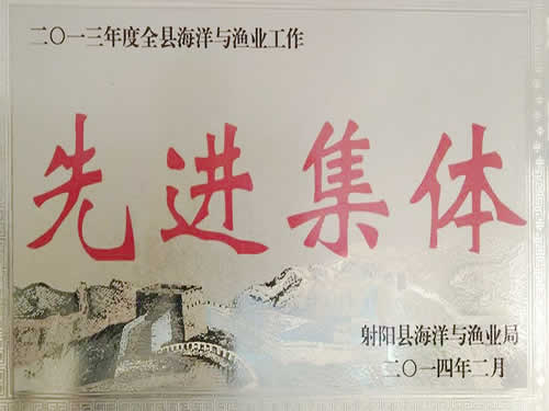 2013年度先進集體