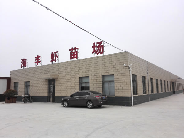 蝦苗養(yǎng)殖場(chǎng)