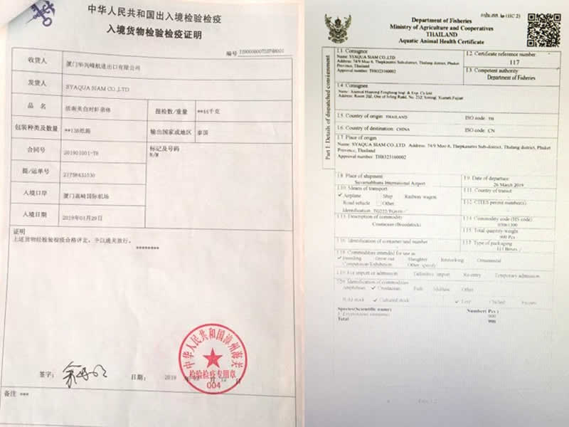 親蝦檢測(cè)報(bào)告